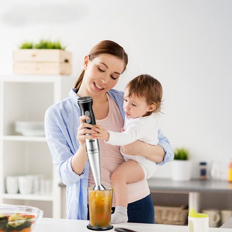 700W Stainless Steel Stick Blender